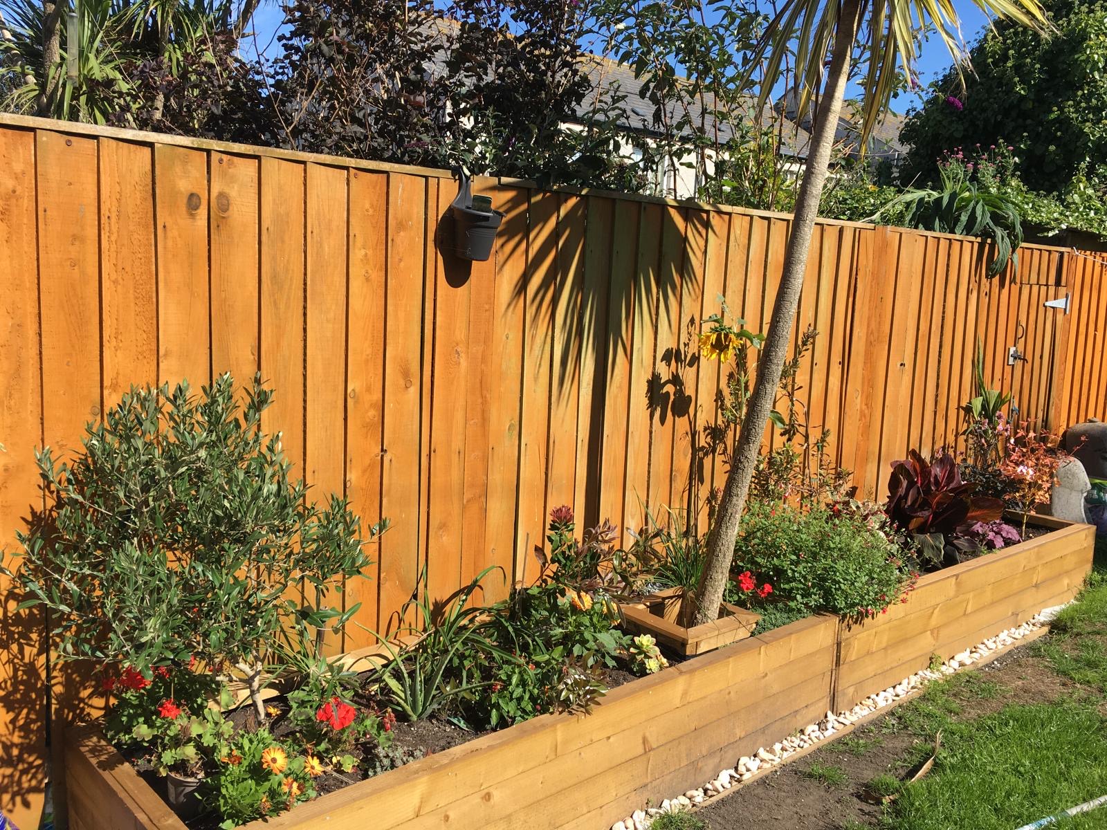 Finished timber raised garden beds filled with plants